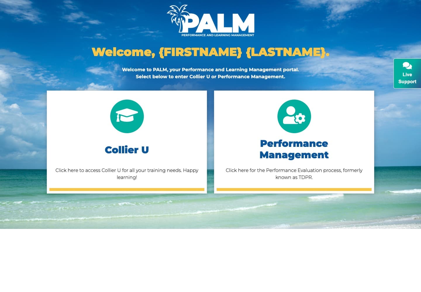 Collier County, FL: Performance & learning portal